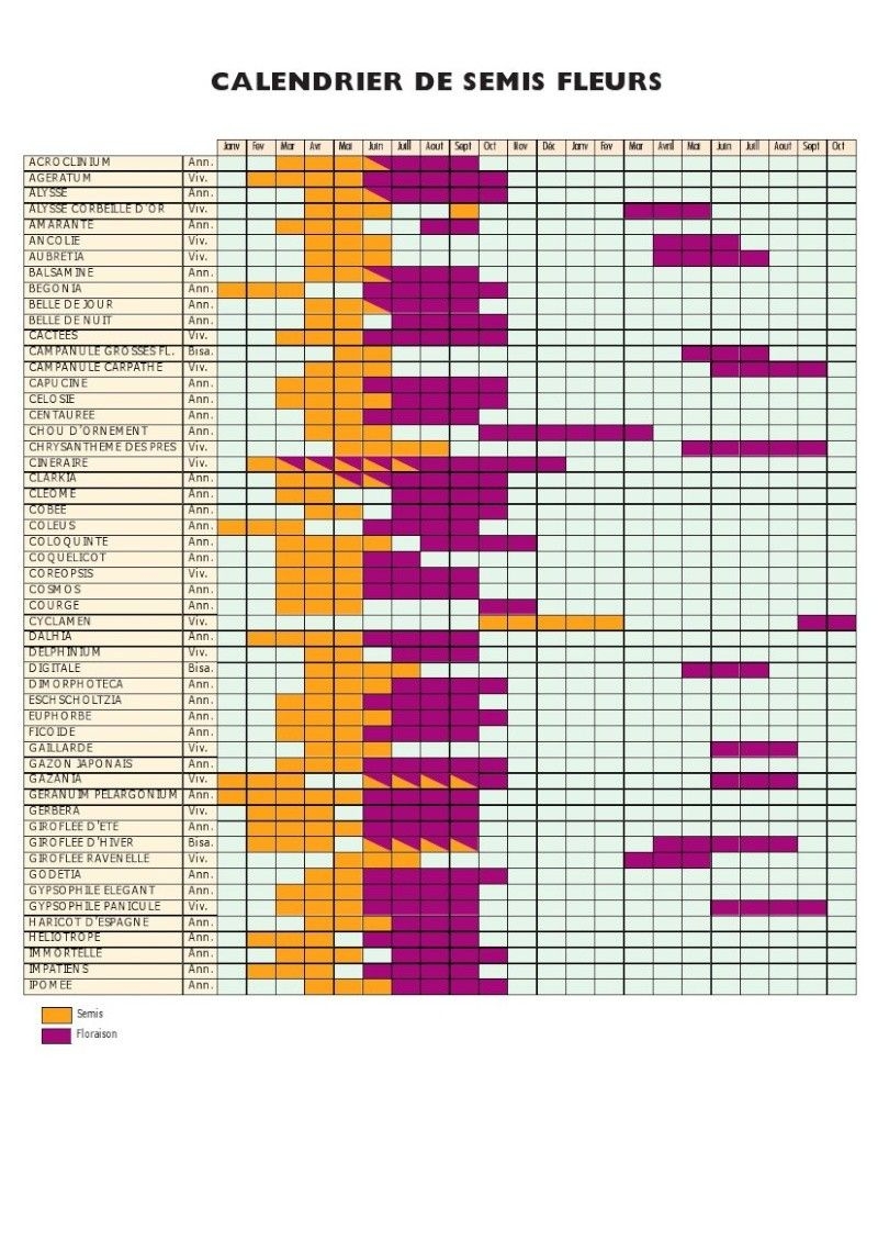 8 Id es De Jardin Calendrier Jardins Calendrier Des Semis Astuce Jardinage