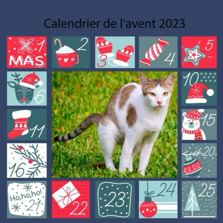 Amazon Calendrier De L avent Chat 2023 Calendrier De L avent Chat 2023 Caca Chat Blagues Dr les De Chat Cadeau Pour Femmes Hommes Enfants Amis French Edition 9798354663729 Henry James Libros