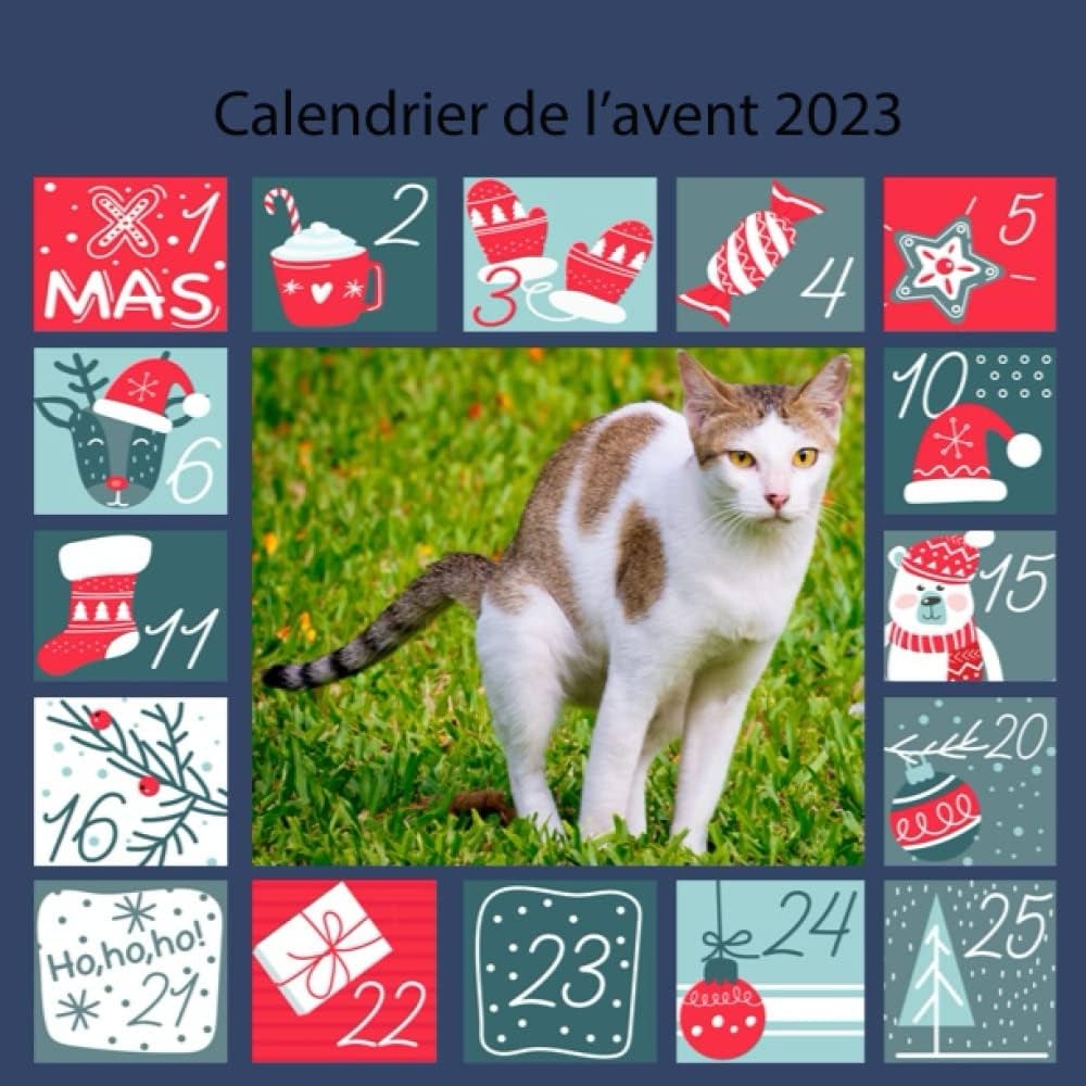 Amazon Calendrier De L avent Chat 2023 Calendrier De L avent Chat 2023 Caca Chat Blagues Dr les De Chat Cadeau Pour Femmes Hommes Enfants Amis French Edition 9798354663729 Henry James Libros