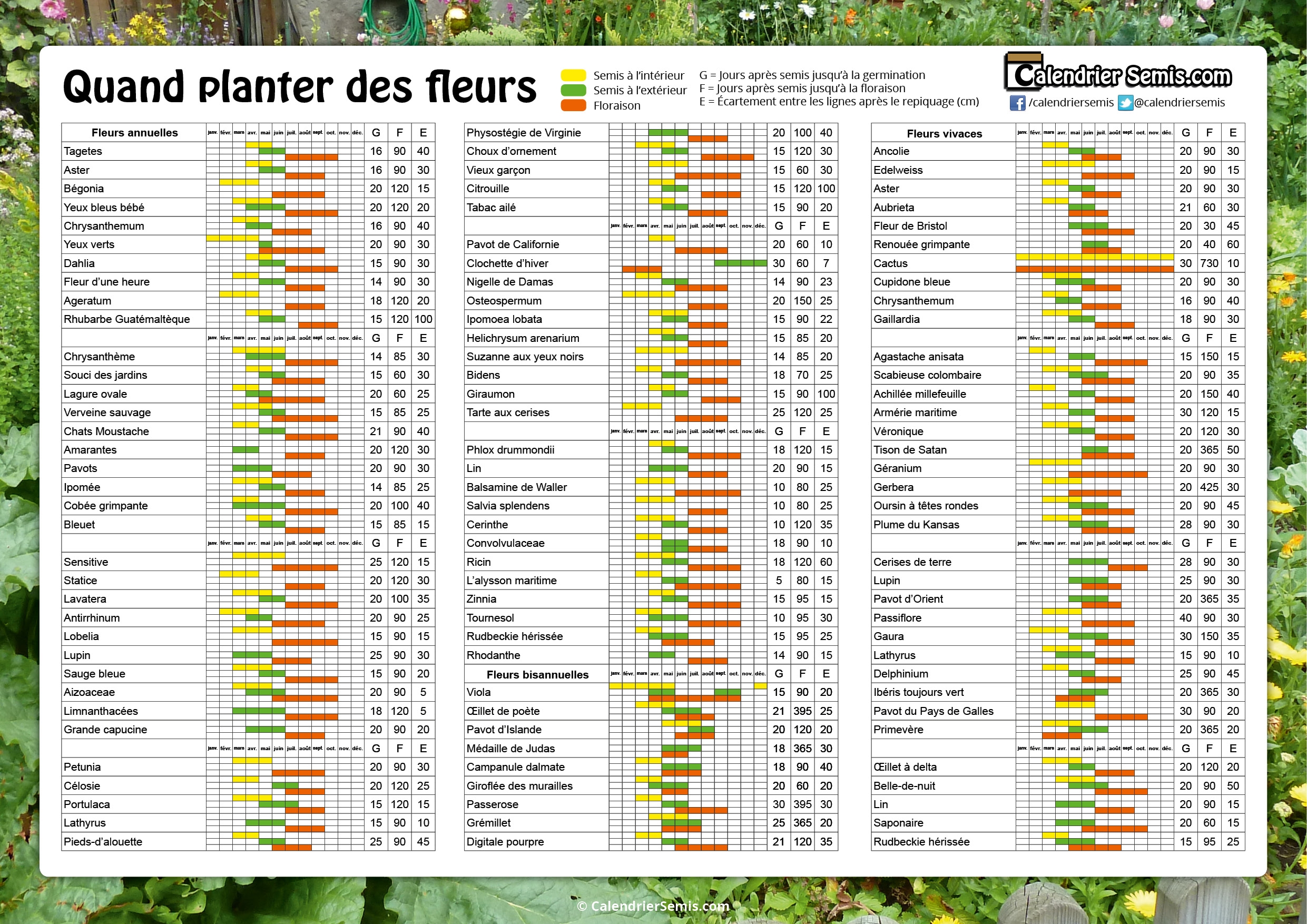 calendrier des semis potager a imprimer