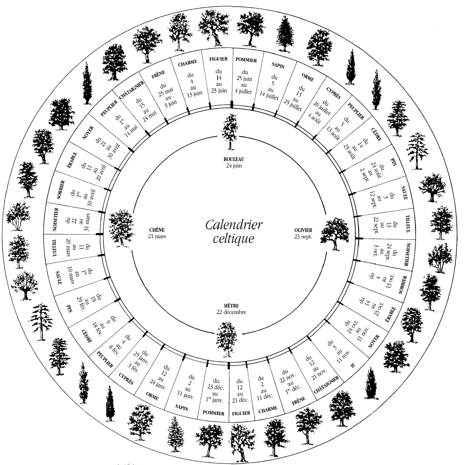 Calendrier Celtique Le Nom De L arbre Actes Sud