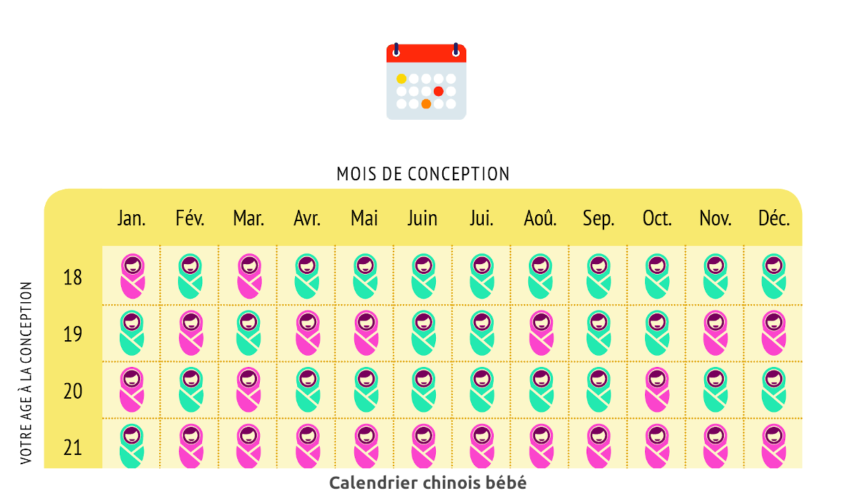 calendrier chinois grossesse