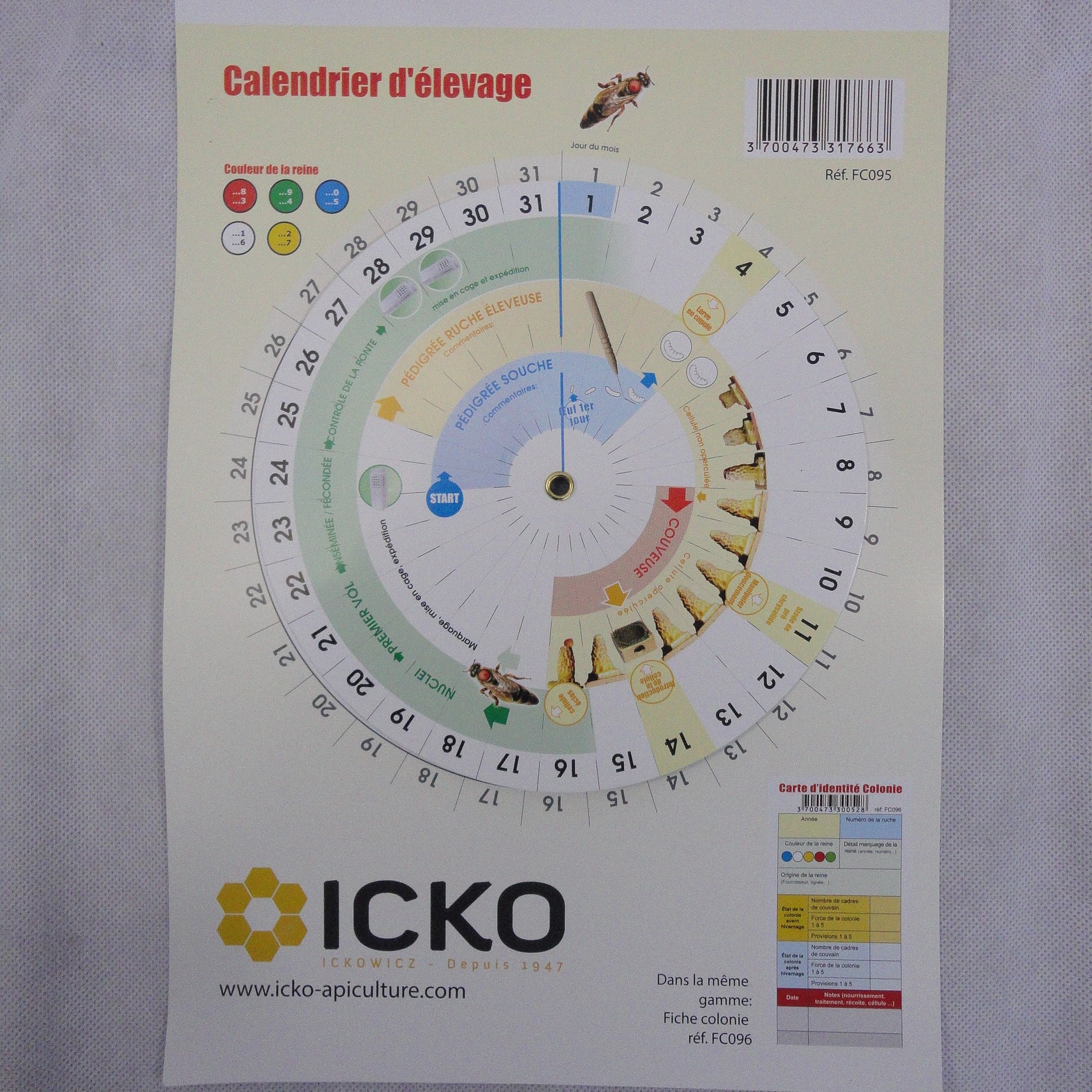 calendrier elevage reine abeille