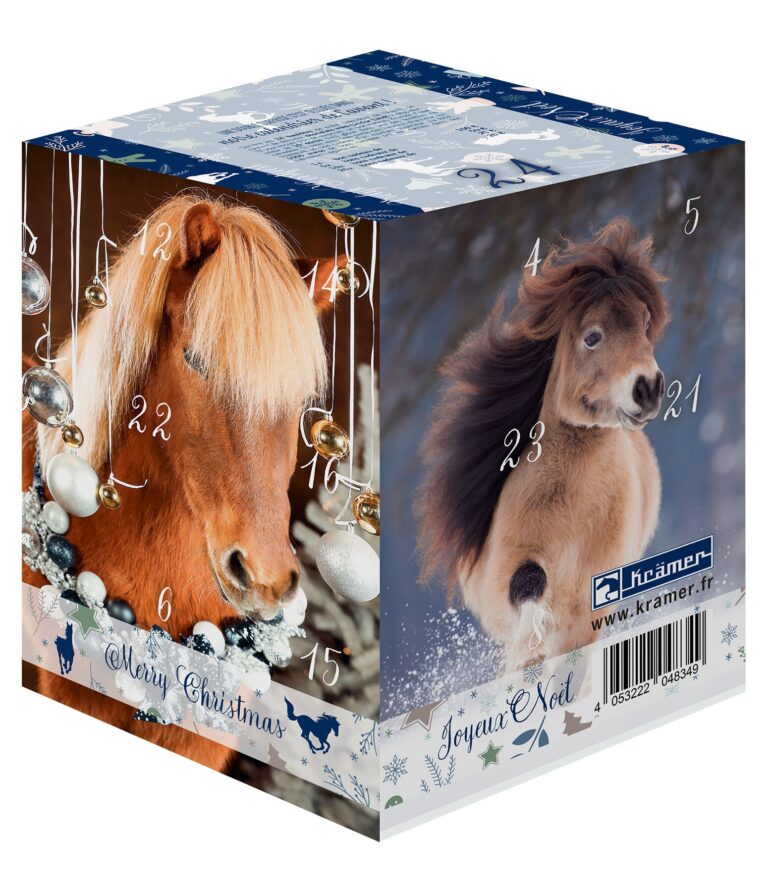 Calendrier De L Avent Avec Un Bon D achat De 10 Ou Plus