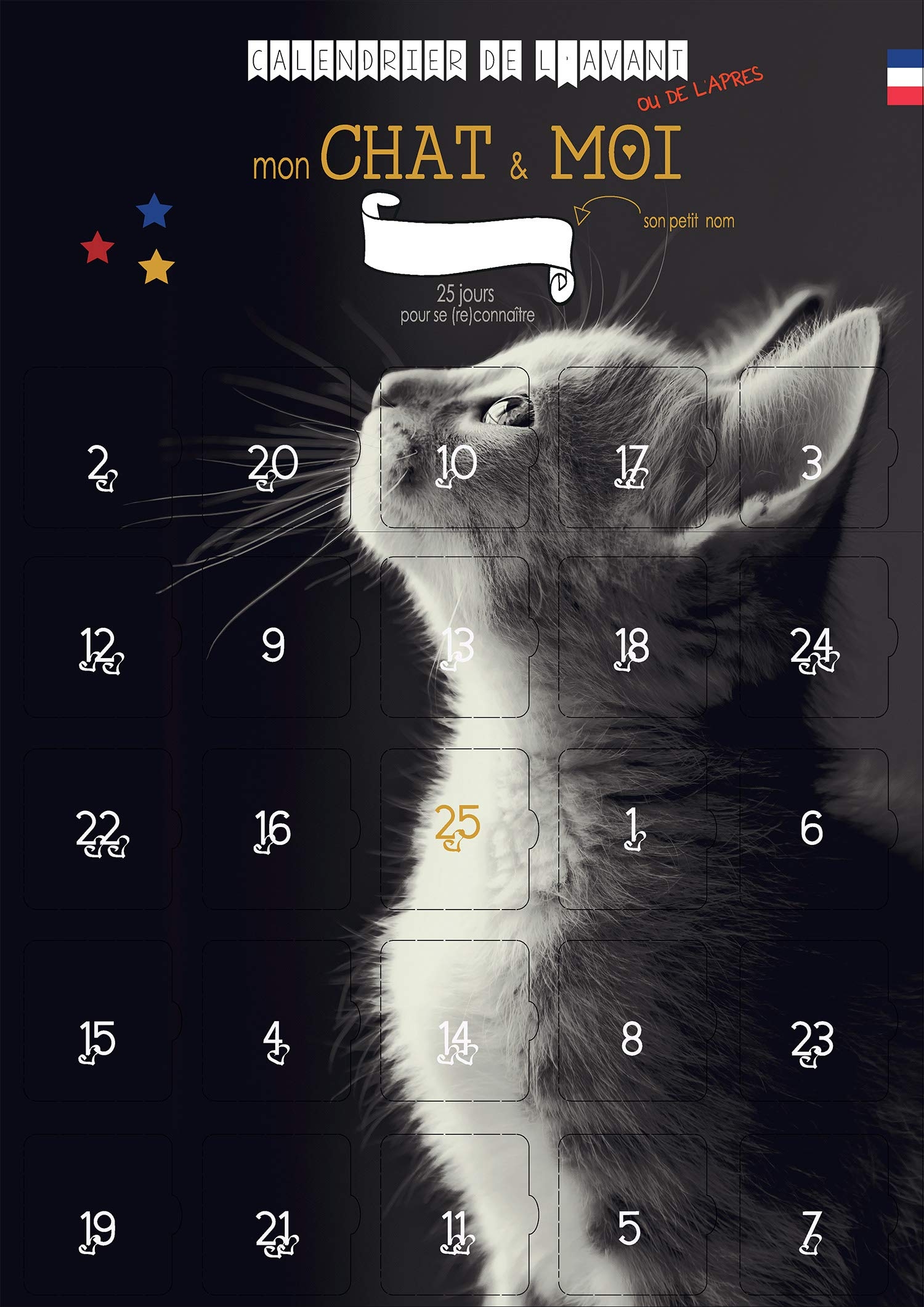 Calendrier De L avent MON CHAT Et Moi 25 Jeux Et Astuces Partager Calendrier De L AVANT Ou De L APRES Pour Adulte Et CHAT Amazon fr Fournitures De Bureau