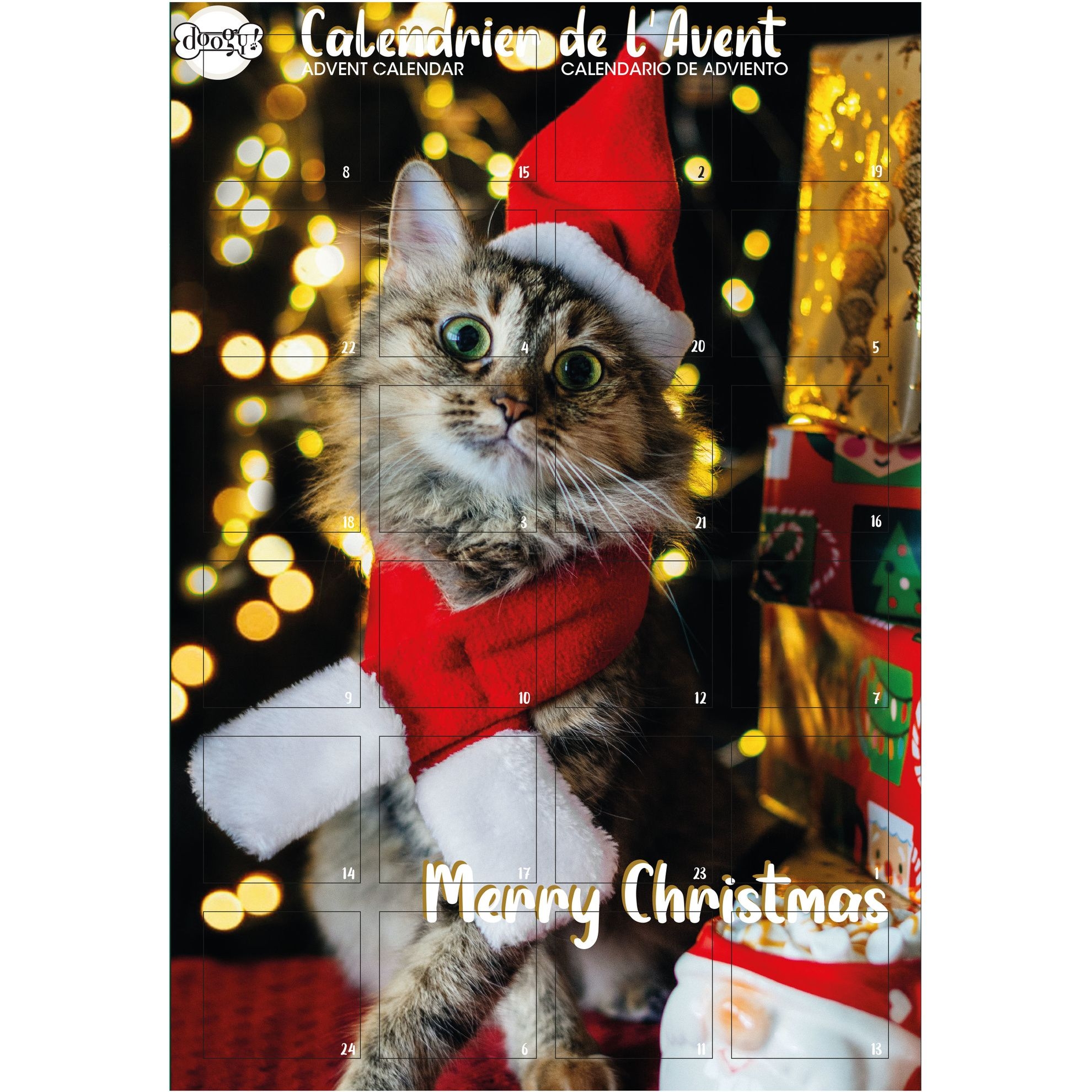 calendrier de l'avent chat