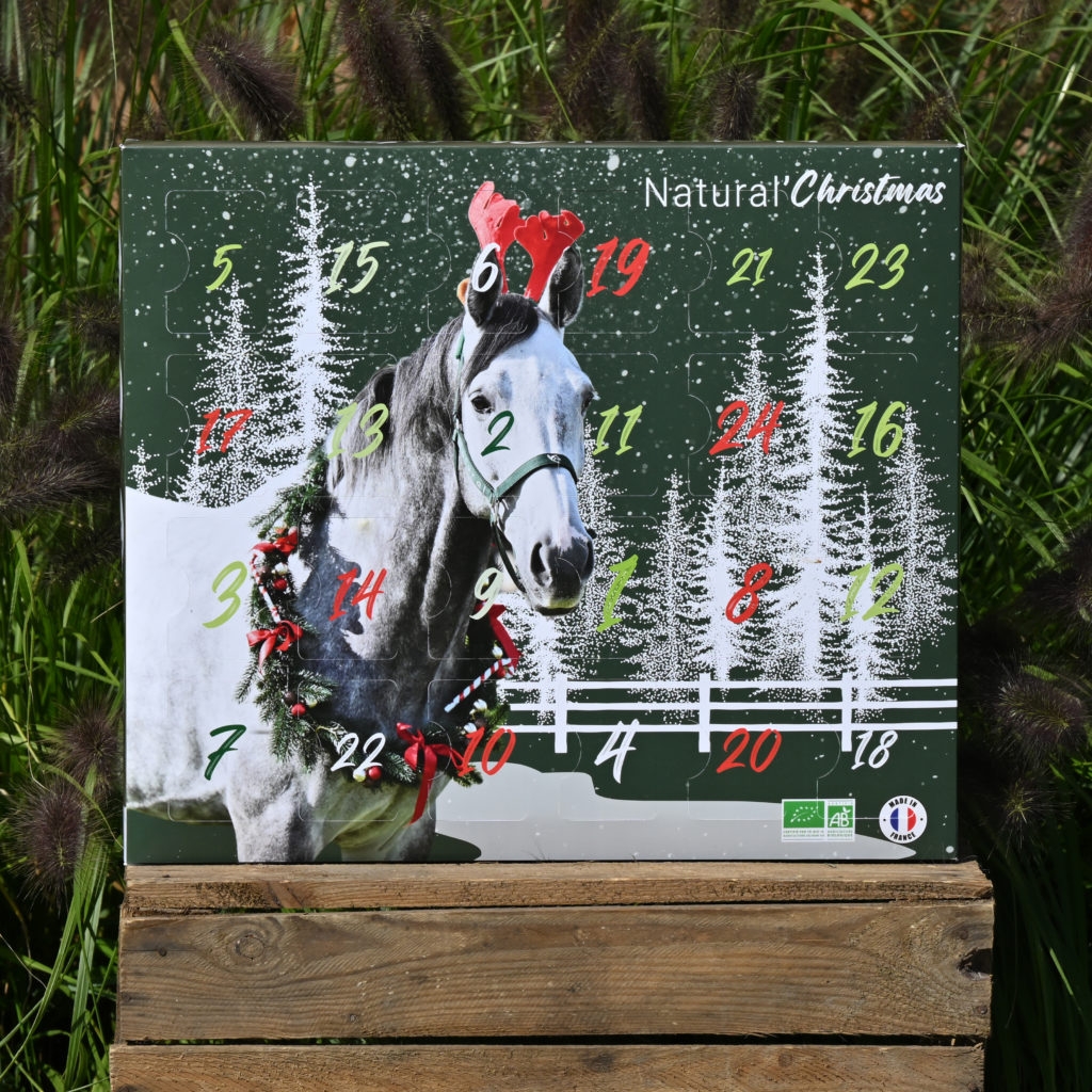 Calendrier De L avent Pour Le Cheval Et Le Cavalier Blog Equestra