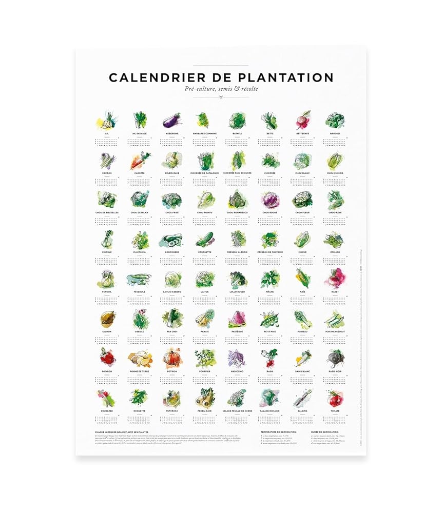 Calendrier De Plantation Et Des Semis Pour Le Jardin Au Format 30x40cm P riodes De Semis Pour 64 L gumes Diff rents Sous Forme De Poster Amazon fr Fournitures De Bureau