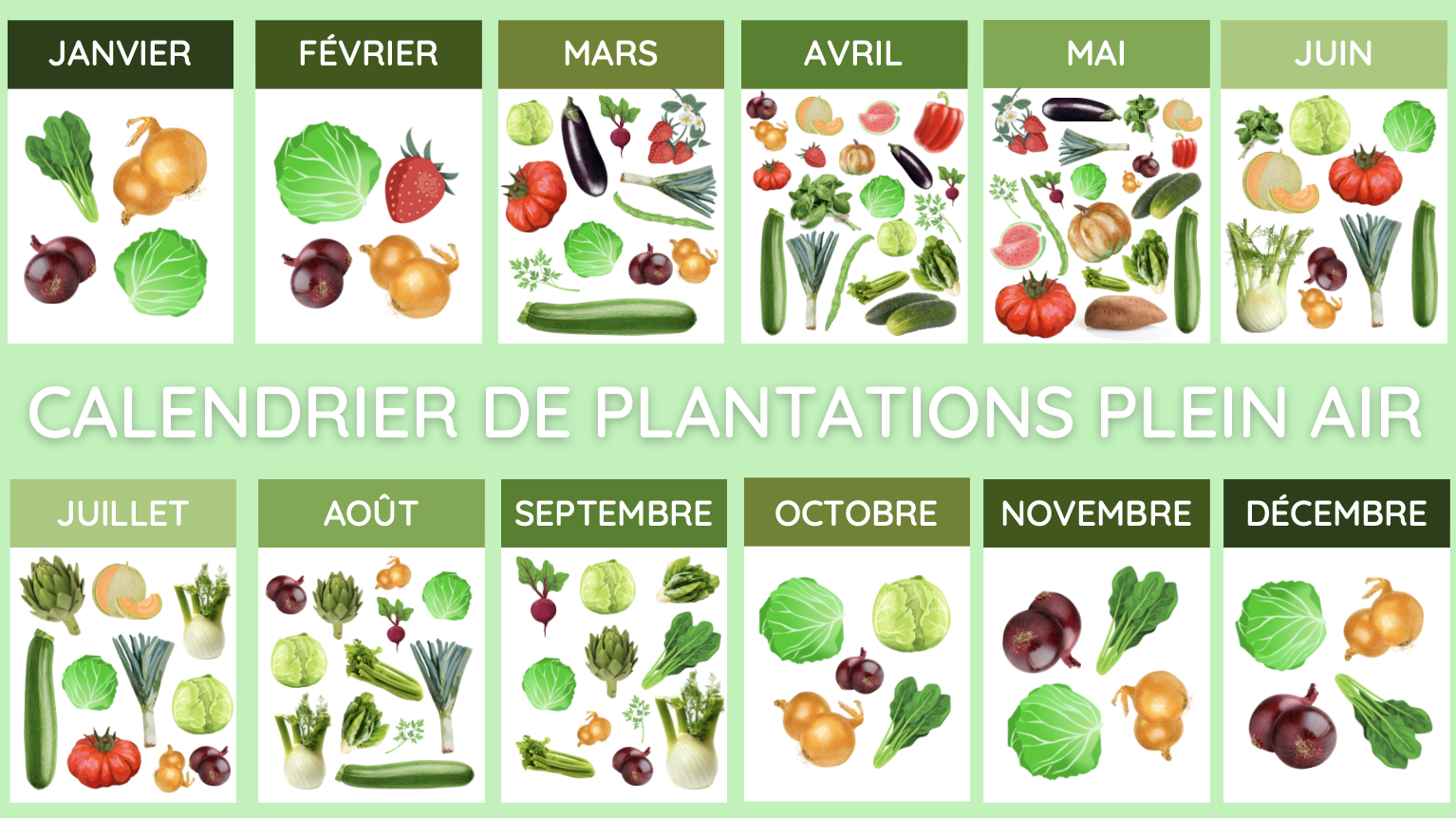 Calendrier Des Plantations Horticulteur