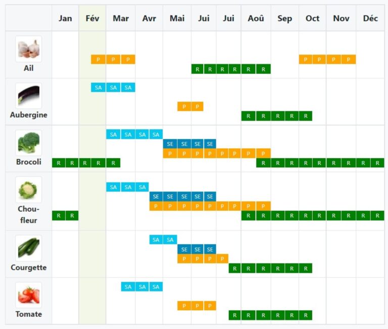 Calendrier Des Semis Et Plantation Du Potager T l charger Ou Impr
