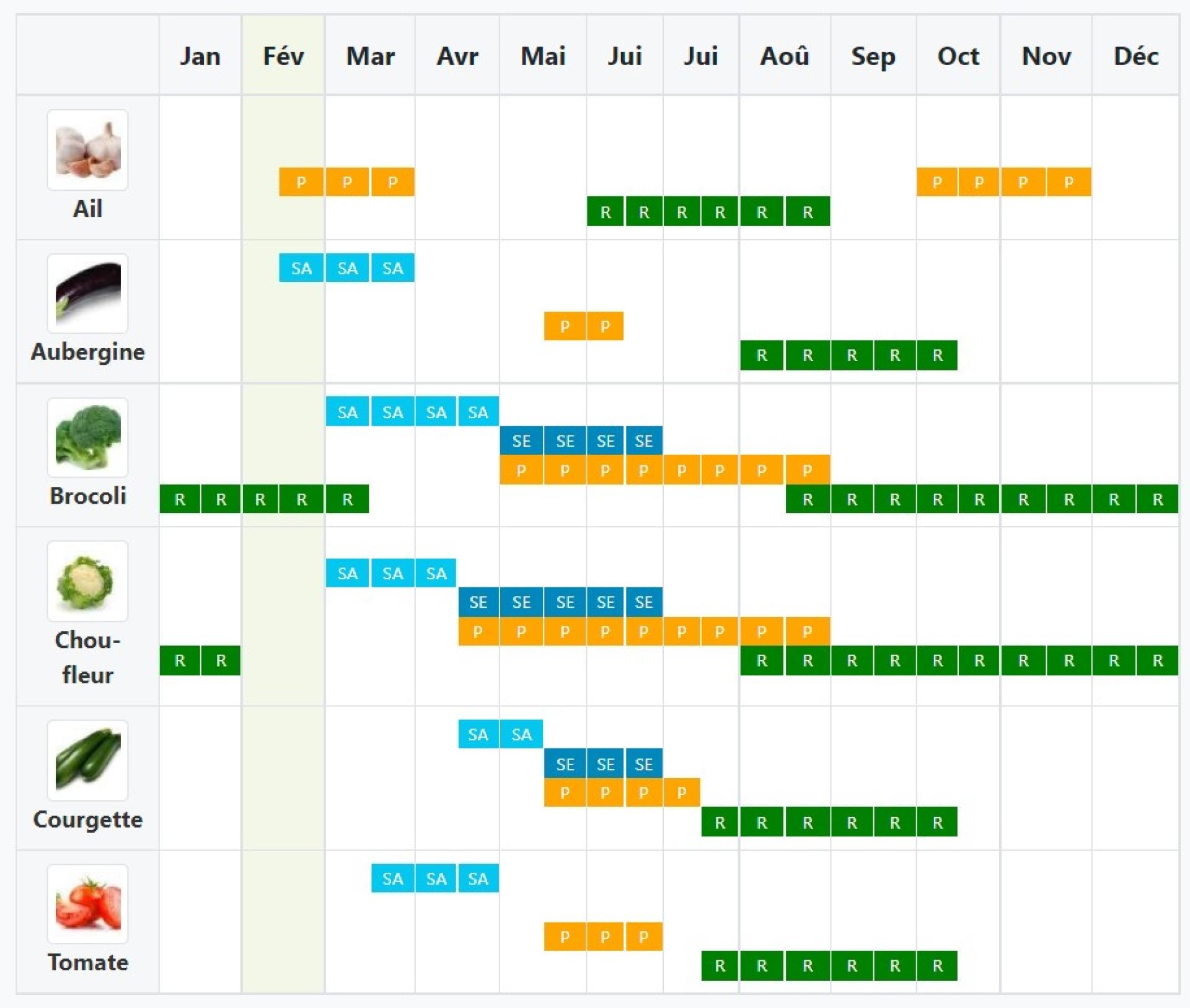 Calendrier Des Semis Et Plantation Du Potager T l charger Ou Impr 