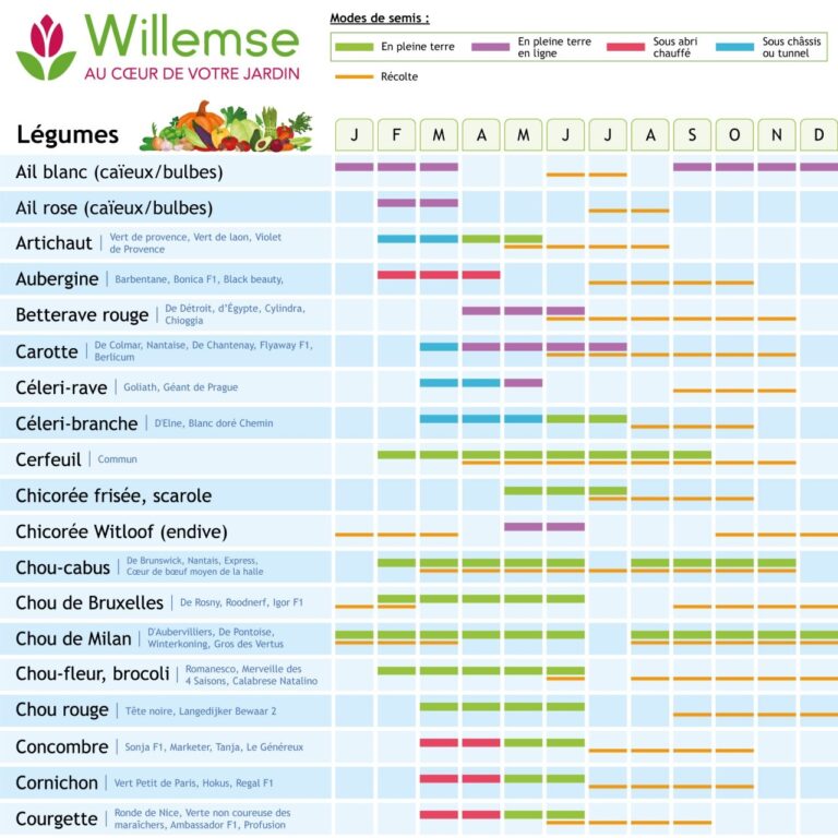 Calendrier Des Semis Et Plantations Des Graines Du Potager