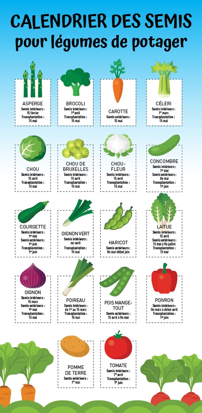 Calendrier Des Semis Pour L gumes De Potager Je Jardine