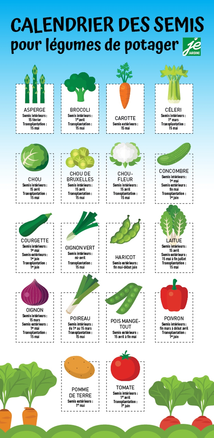 Calendrier Des Semis Pour L gumes De Potager Je Jardine