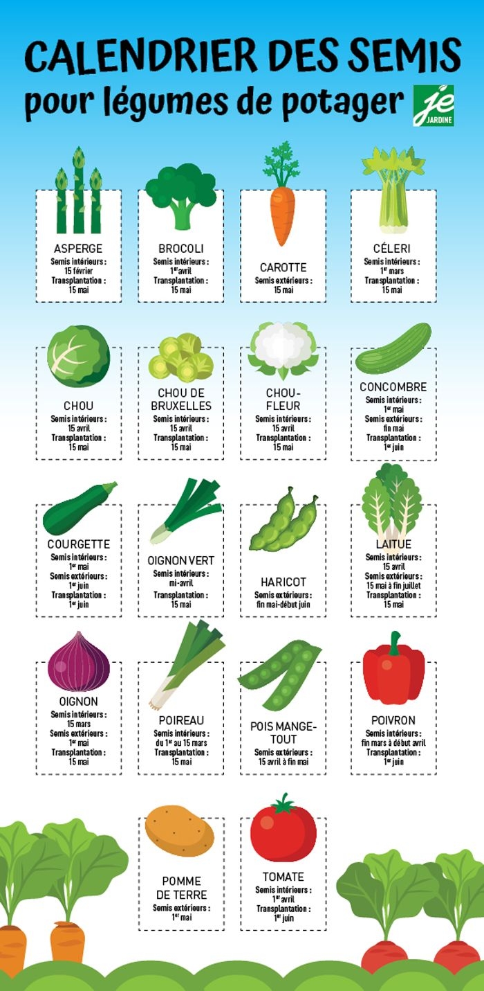 Calendrier Des Semis Pour L gumes Du Potager