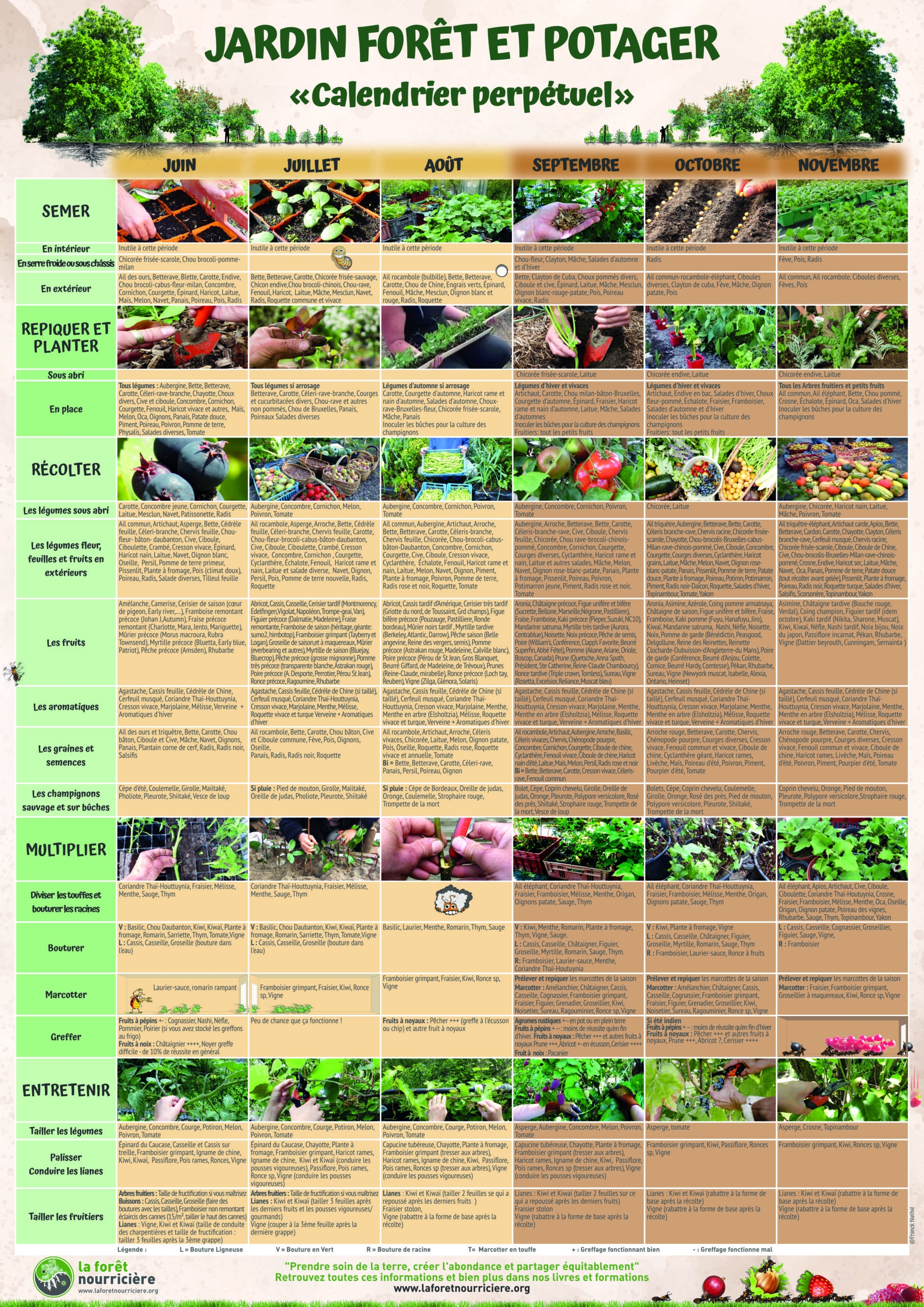 Calendrier Du Potager En Permaculture Et Du Jardin For t Comestible