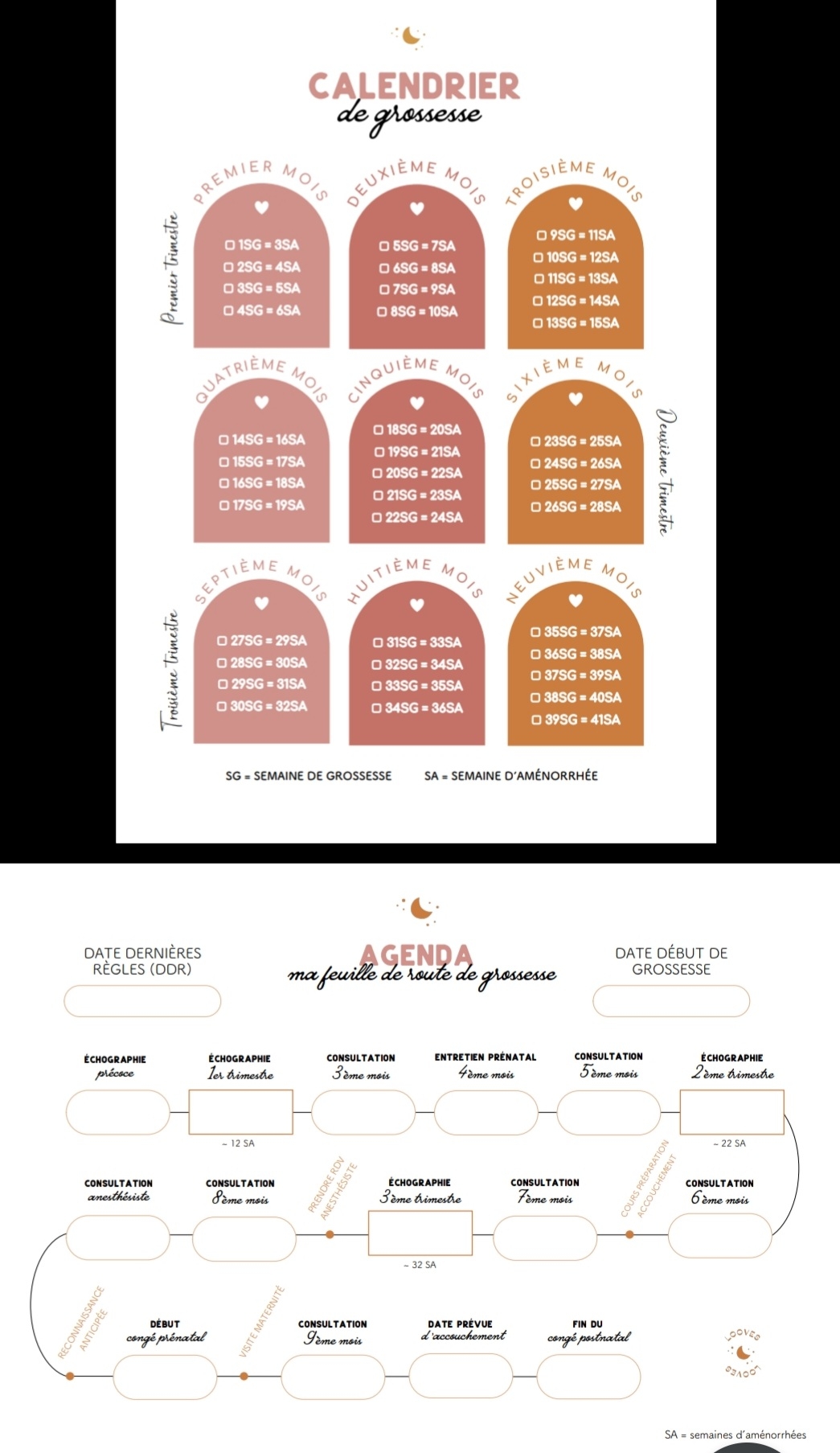 Calendrier Et Agenda De Grossesse Baby Show