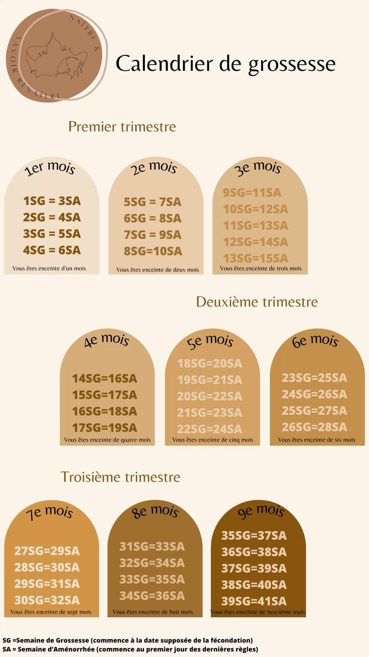 Calendrier Grossesse