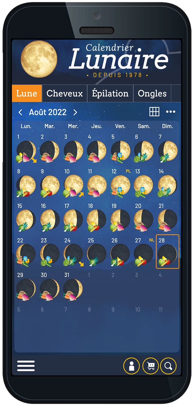 Calendrier Lunaire 2025 Web Appli Beaut 1 An Calendrier Lunaire 