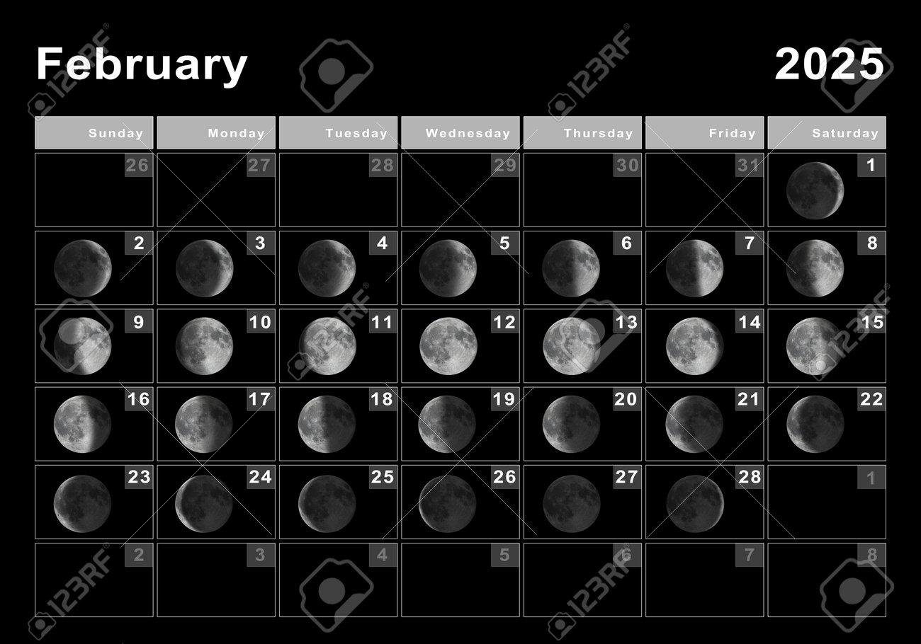 Calendrier Lunaire De F vrier 2025 Cycles Lunaires Phases Lunaires Banque D Images Et Photos Libres De Droits Image 192759891