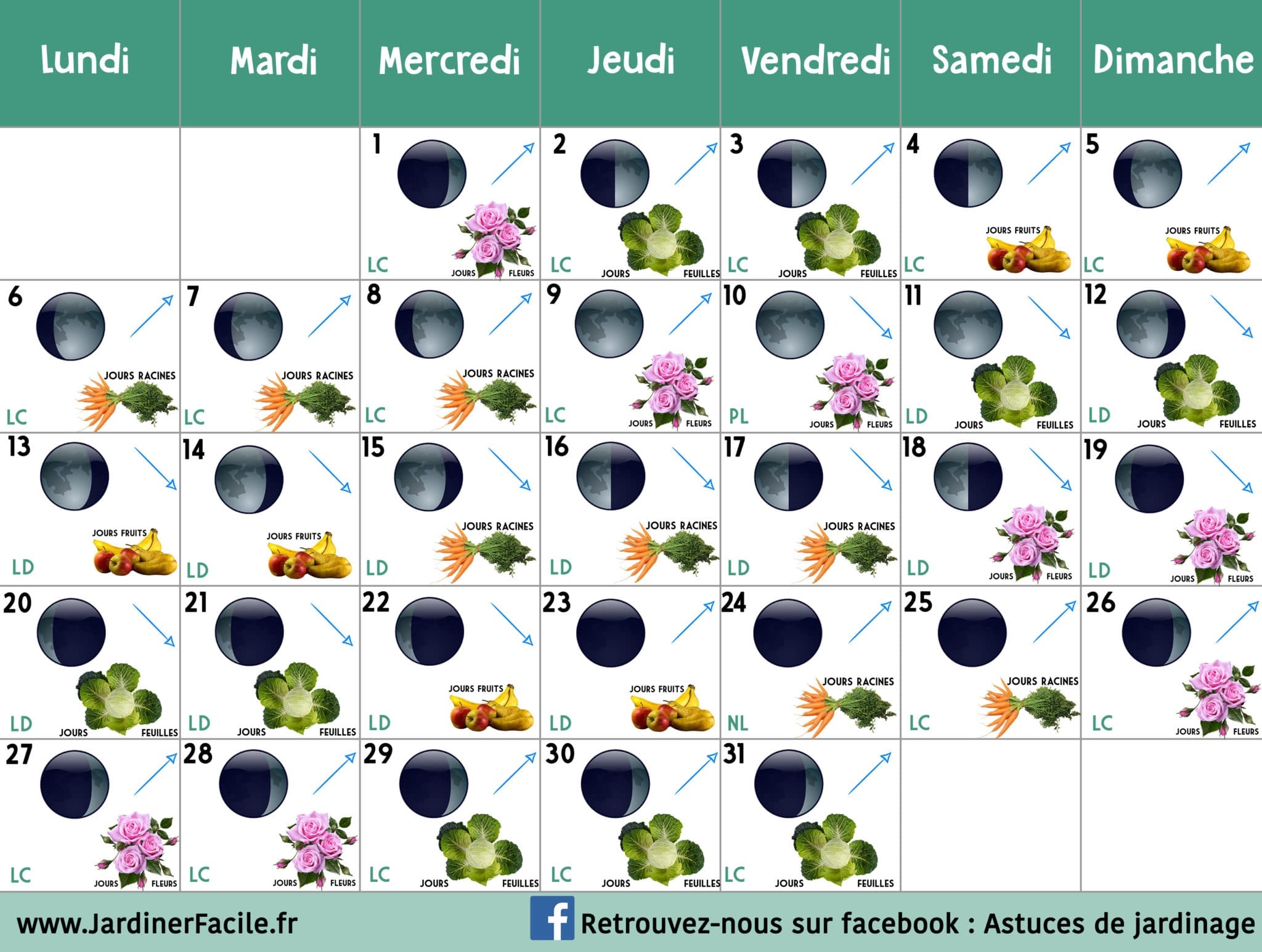 Calendrier Lunaire Janvier 2020 Jardiner Avec La Lune Mon Blog De Jardinier