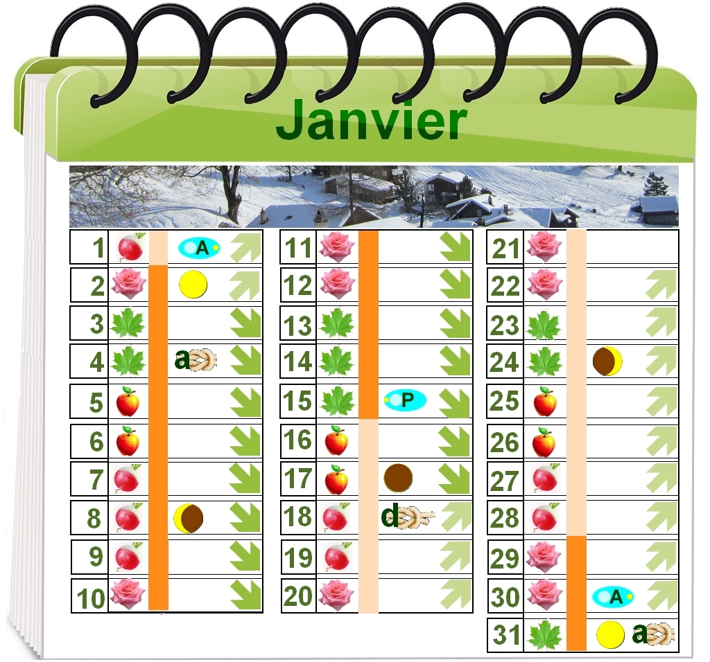 Calendrier Lunaire Jardinerie Riera