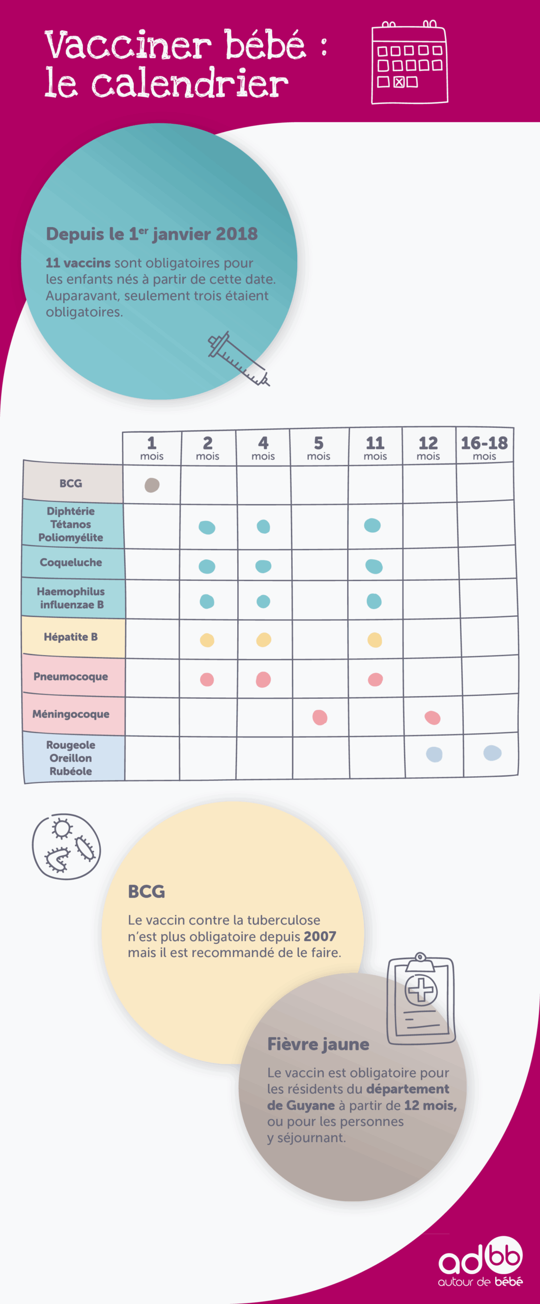Calendrier Vaccinalde B b Tout Savoir Autour De B b Conseils