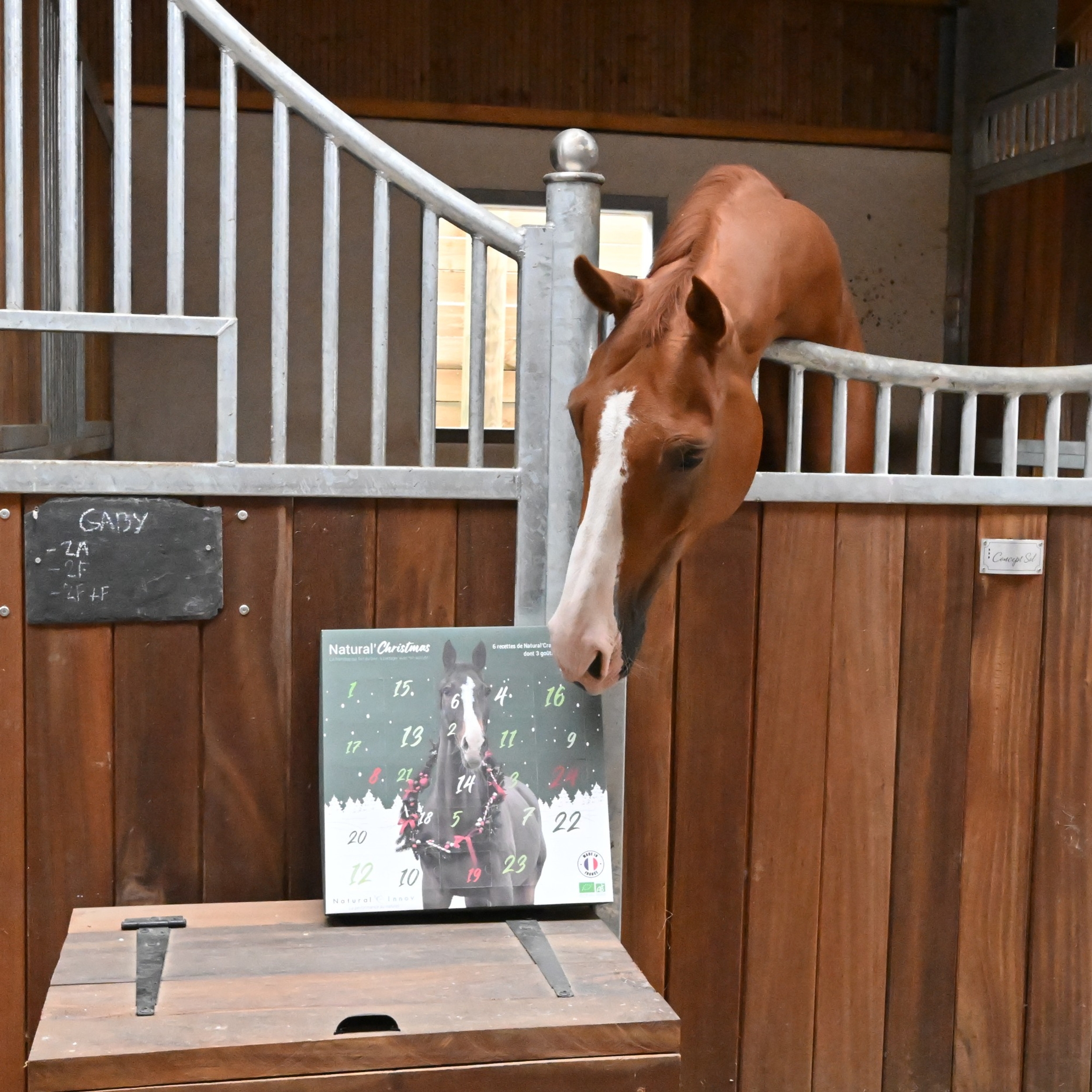 calendrier de l'avent cheval