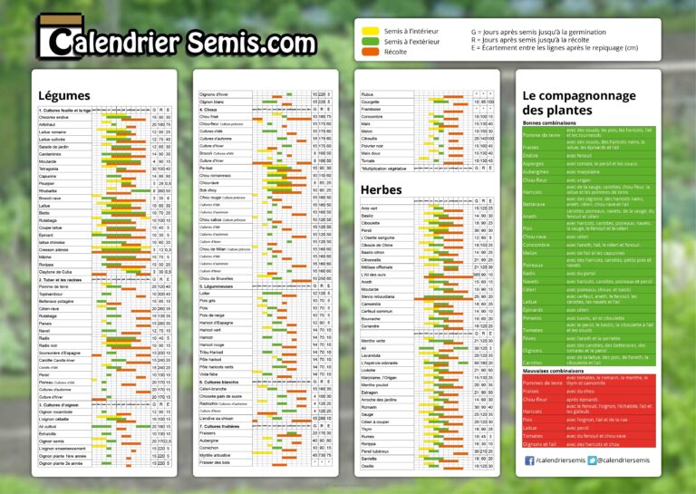Calendriers Des Semis CalendrierSemis