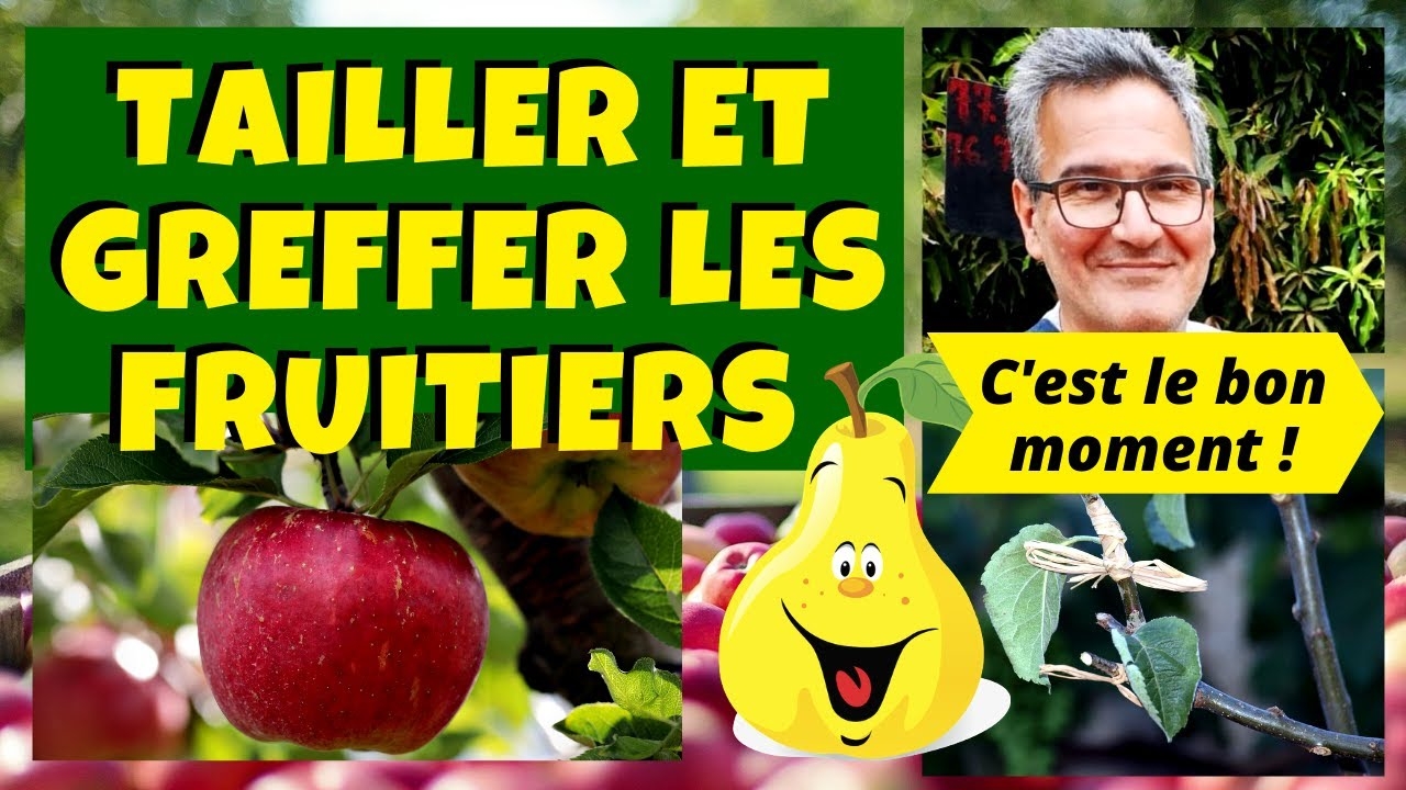 calendrier de greffage des arbres fruitiers calendrier de greffage des arbres fruitiers