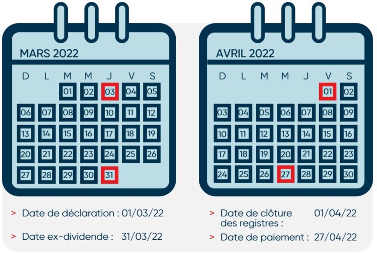 Comprendre Les Dividendes Et Leurs Dates Importantes BNCD