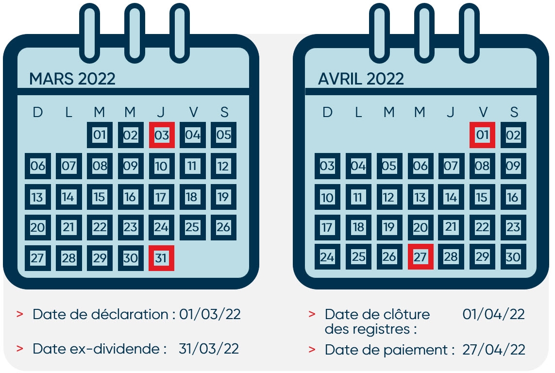 Comprendre Les Dividendes Et Leurs Dates Importantes BNCD