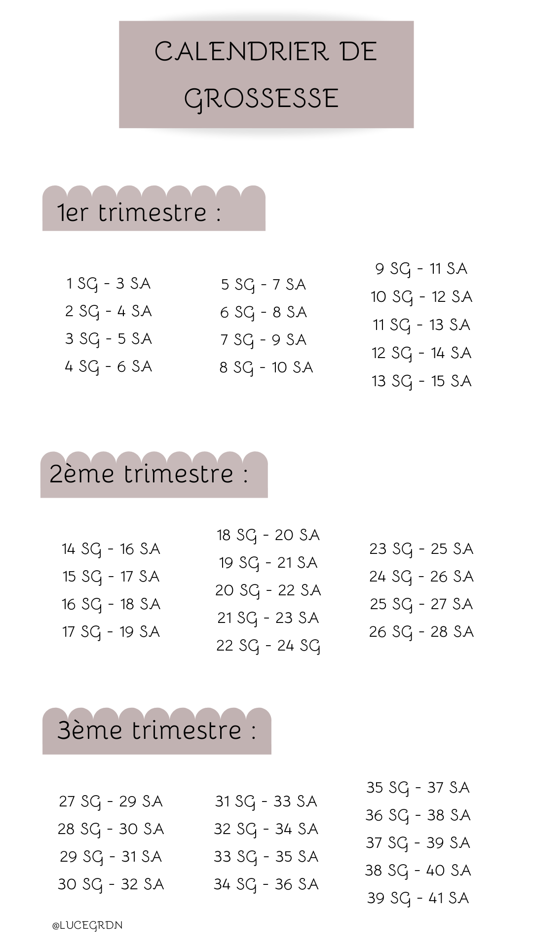 calendrier de grossesse