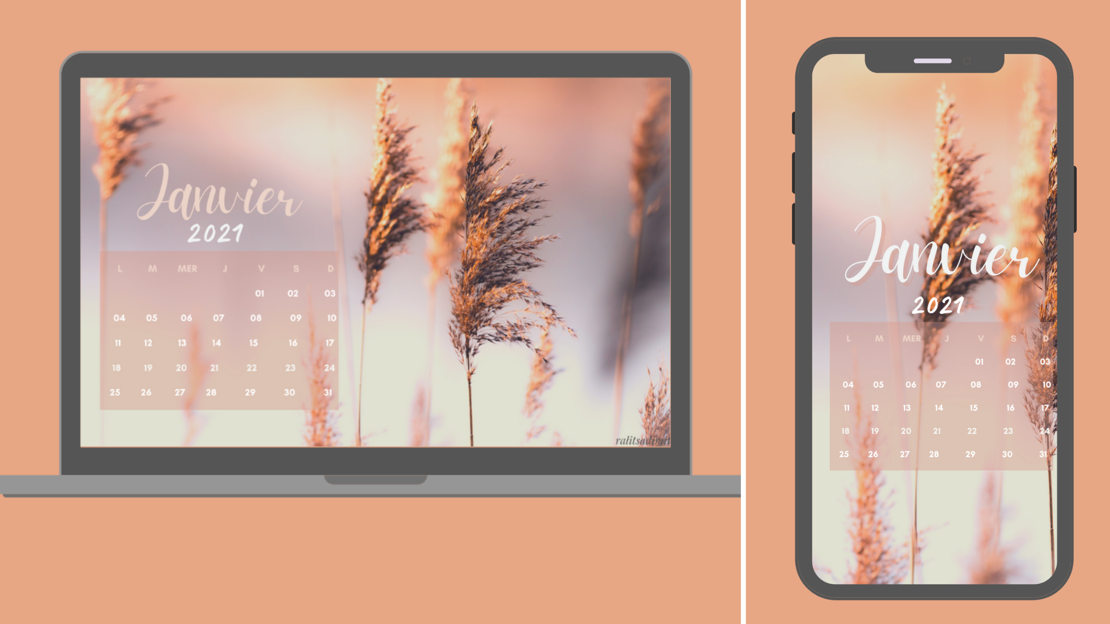 Fond D cran Et Calendrier Janvier 2021 Ralitsa Dimitrova Fond D cran Et Calendrier Janvier 2021 Ralitsa Dimitrova