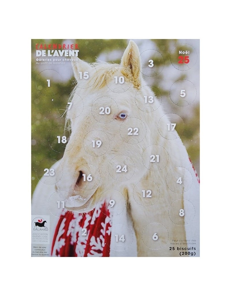 Fondation BEA Calendrier De L Avent Pour Chevaux Domaine Animal