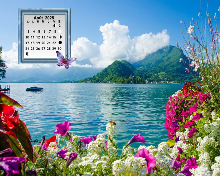 Fonds D cran Calendriers Belle Picotine