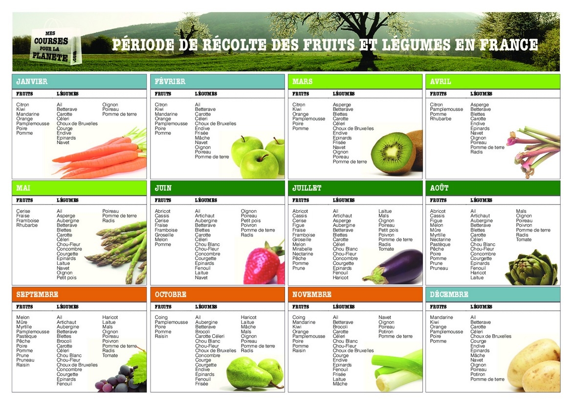 Fruits Et L gumes Saisonnier Calendrier Perp tuel OwnGrown Fruits Et L gumes De Saison Calendrier De Cueillette L gumes