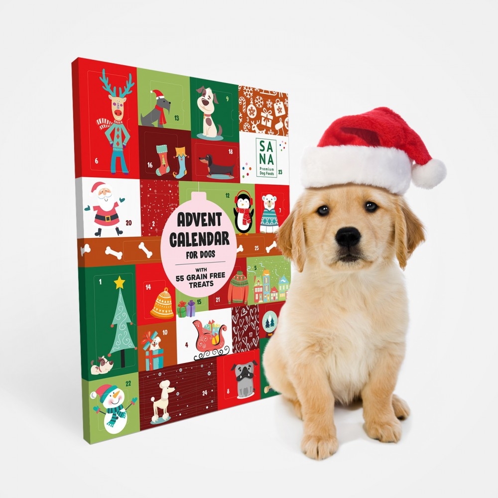 Gigantesque Calendrier De L Avent Pour Chien Sanadog Le Ma tre Des Lieux