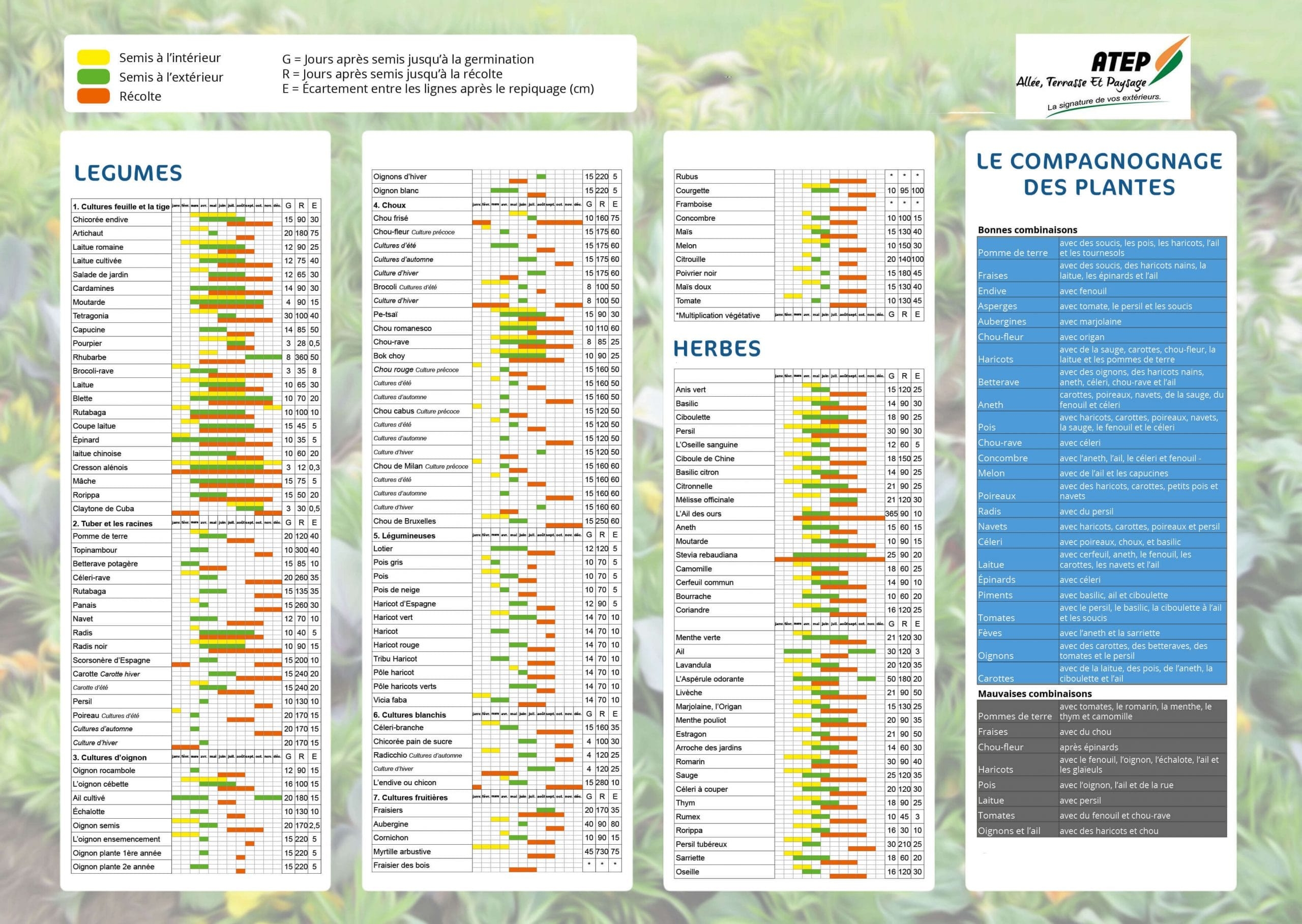 Guide Des Plantations P riodes Et Calendrier Des Semis VENDIRIS