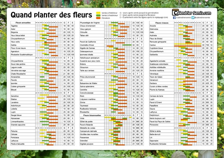 Jardinage Fleur CalendrierSemis