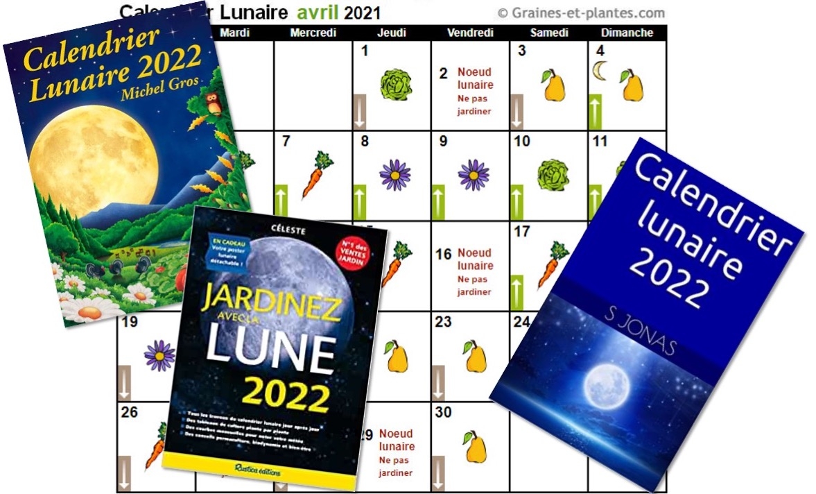 Jardiner Avec La Lune Mythe Ou R alit Jardinier Paresseux