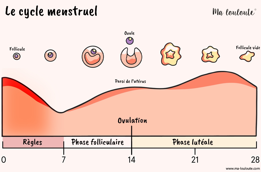 calendrier menstruel à imprimer