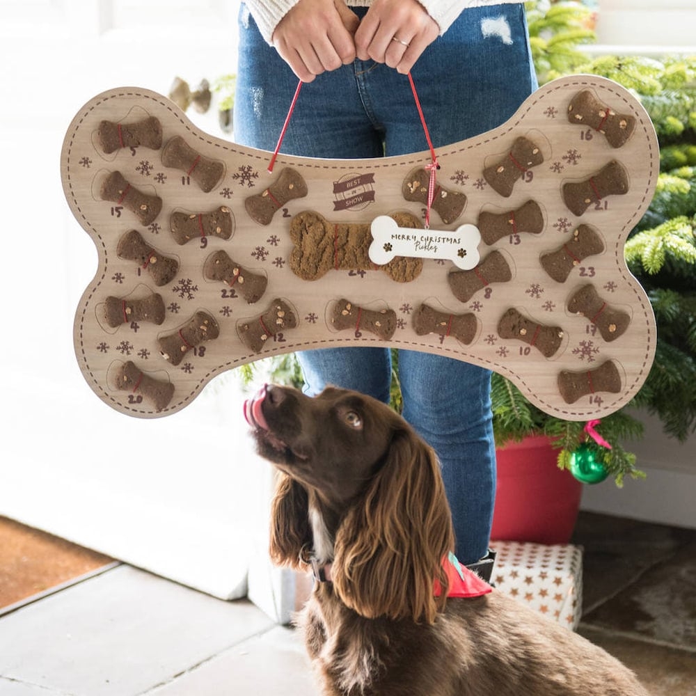 Les 9 Meilleurs Calendriers De L Avent Pour Chien 2025