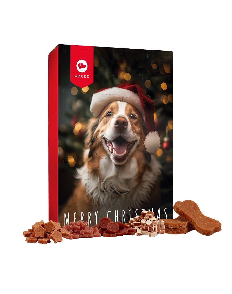 calendrier de l'avent chien