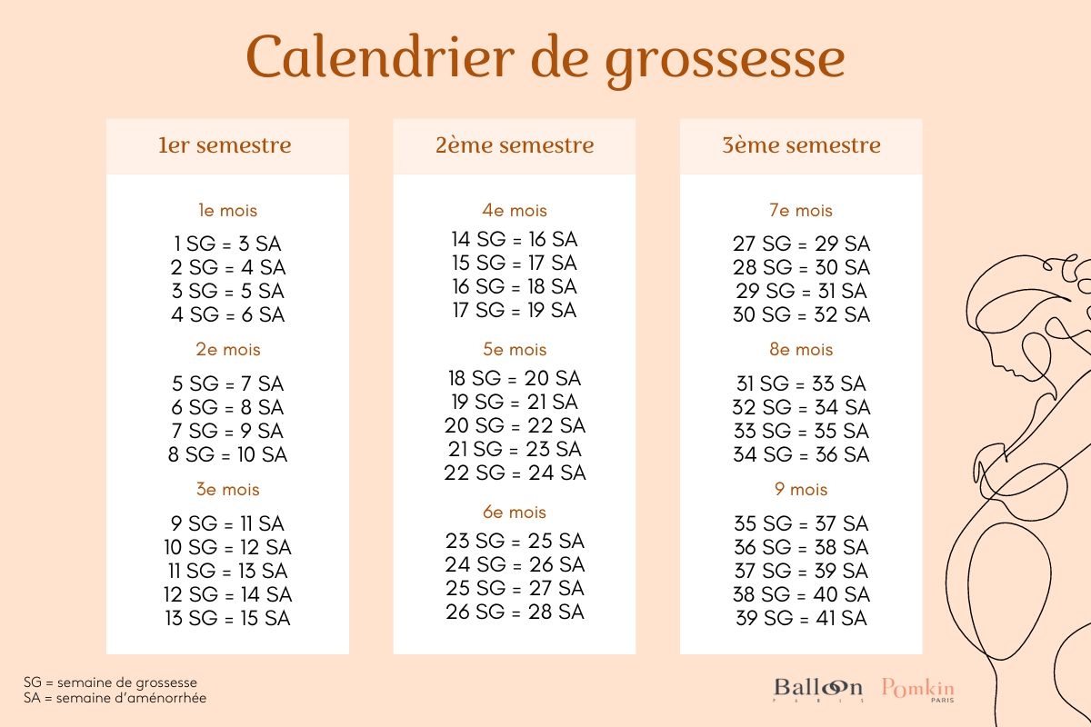 Mois Par Mois Mon Calendrier De Grossesse 