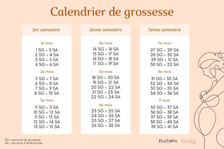 Mois Par Mois Mon Calendrier De Grossesse