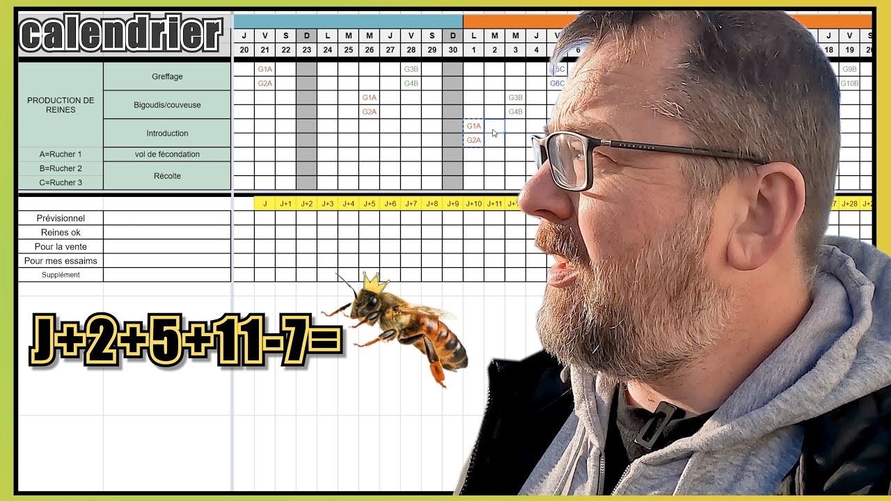 MY QUEEN BEE REARING SCHEDULE S07E05 ENG SUBS YouTube