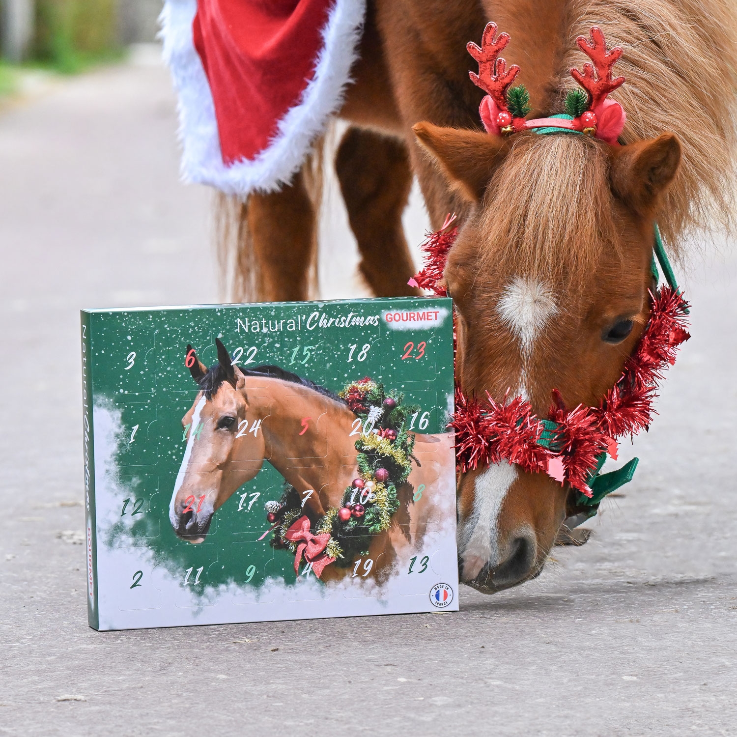 Natural Christmas dition Gourmet Calendrier De L Avent Pour Cheval Et Poney Vet EA