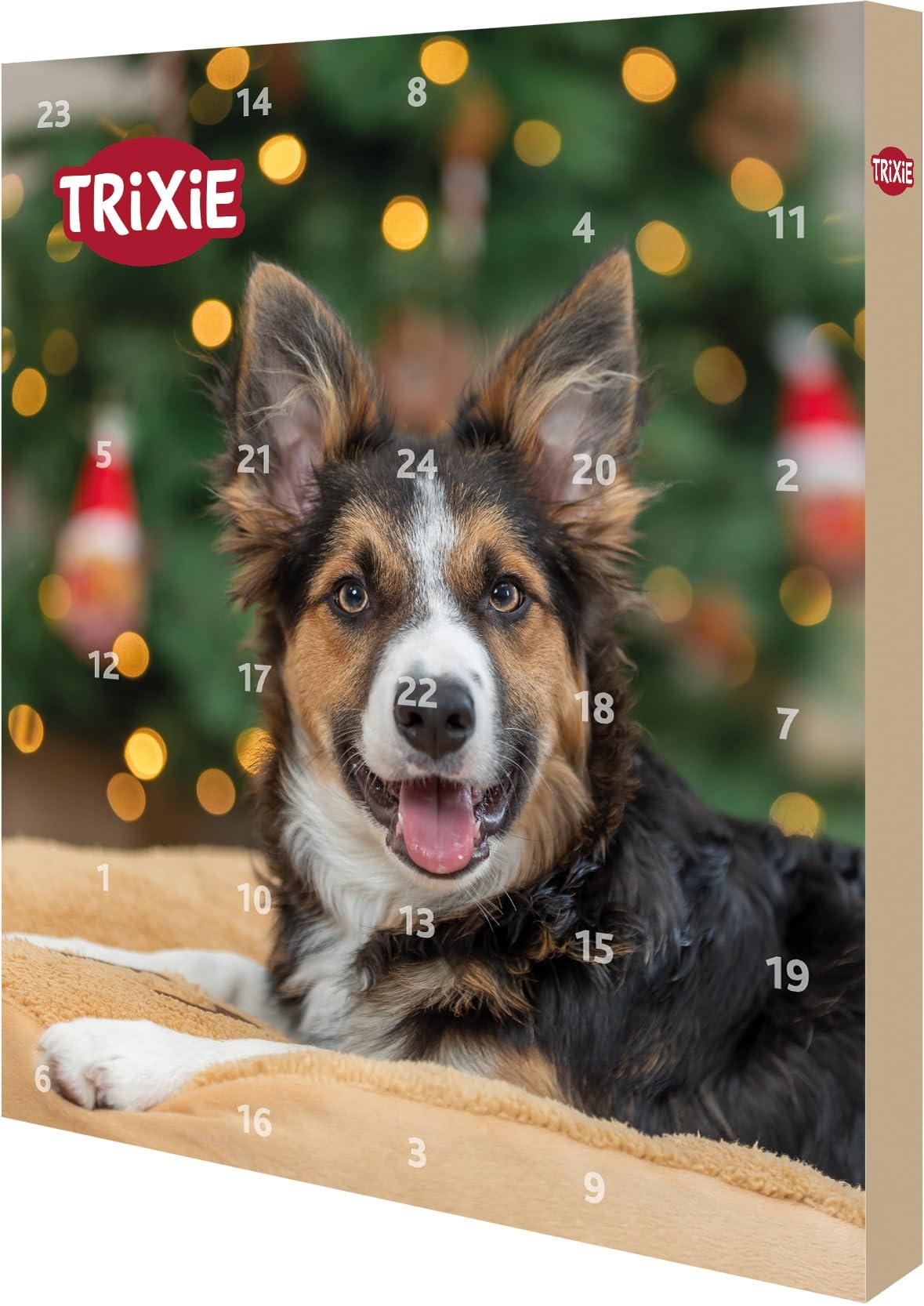 Trixie Calendrier De L Avent Pour Chien 24 Cases Amazon fr Cuisine Et Maison