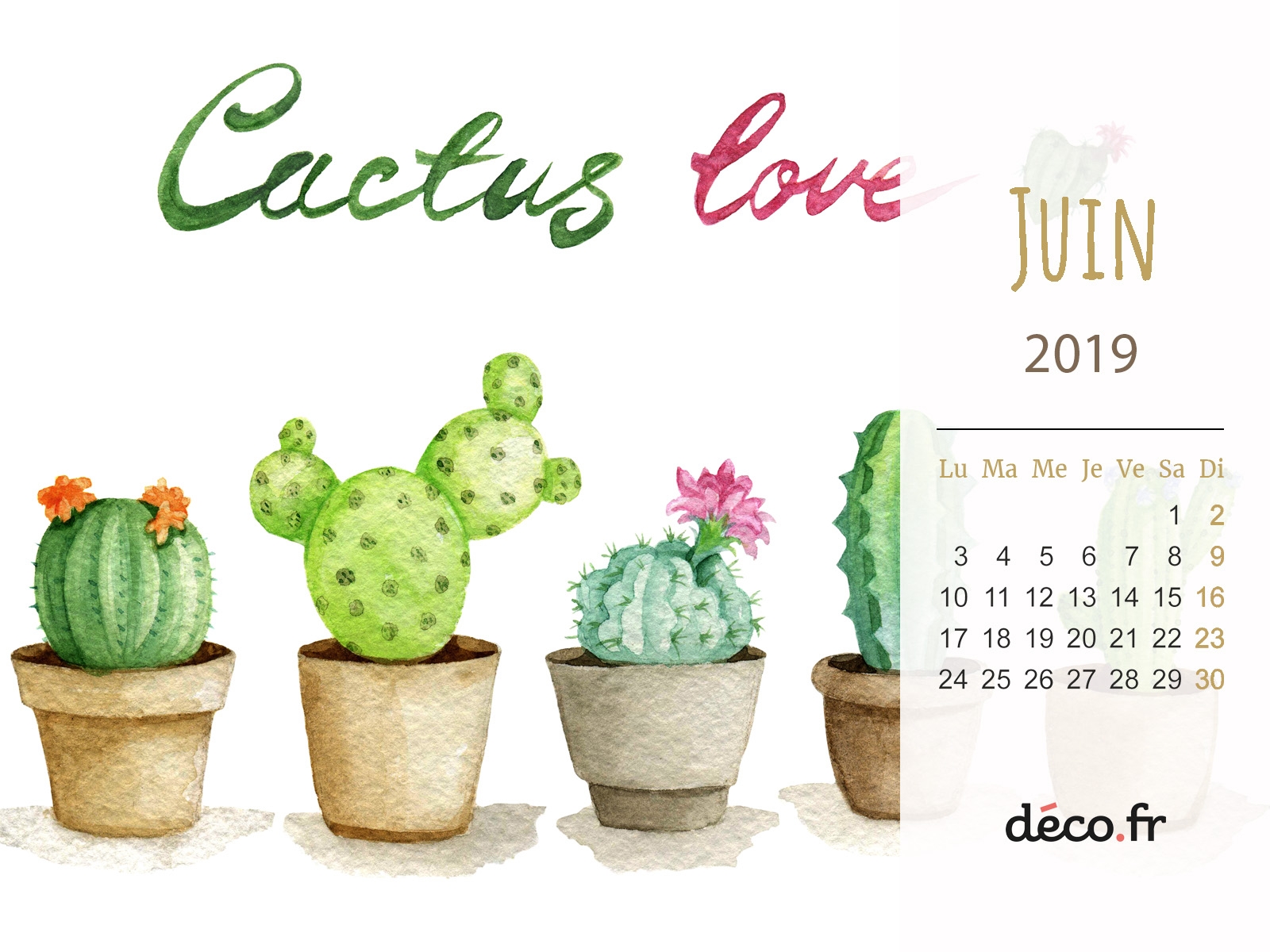 Votre Fond D cran Et Calendrier Mensuel Deco Gratuit M6 Deco fr Votre Fond D cran Et Calendrier Mensuel Deco Gratuit M6 Deco fr